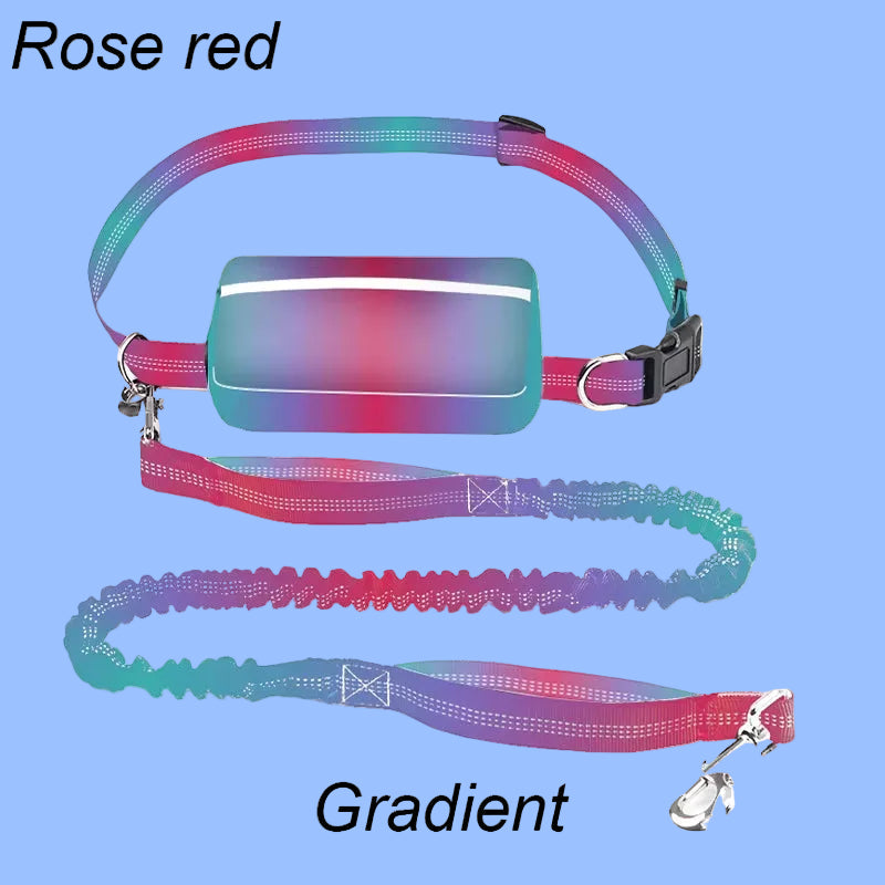 Multifunctional Sports Waist Bag Extended Hand Free Leash Adjustable for Dog Walking and Leash Pet Running Leash with Waist Bag